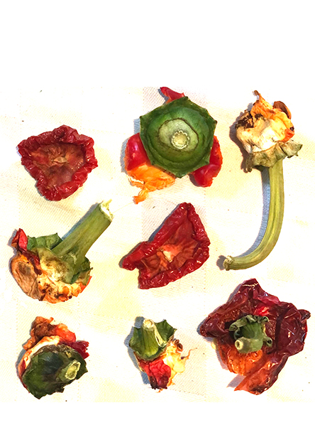 peperonistiele getrocknet